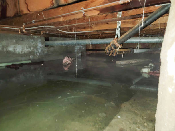 Best Water damage restoration cost  in Sugarcreek, OH