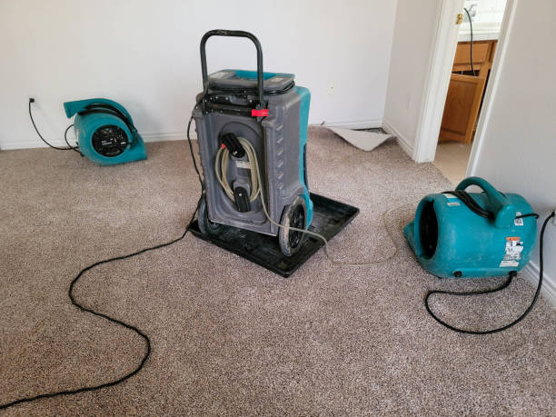 Best Flooded house restoration  in Sugarcreek, OH