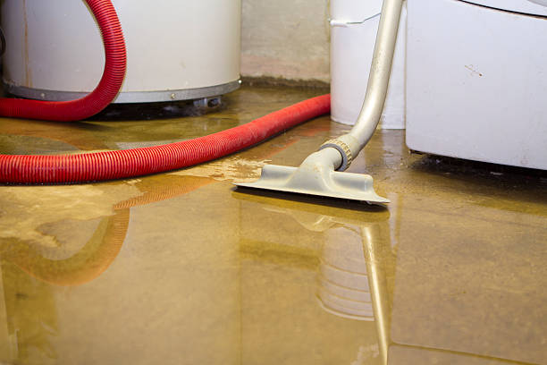 Best Flood damage cleanup  in Sugarcreek, OH